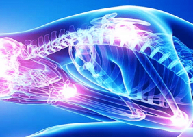 Image of Stress and Inflammation on the body