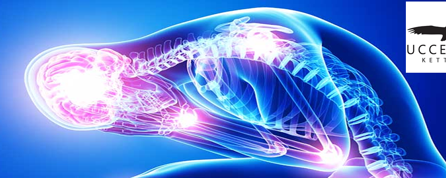 Image of Stress and Inflammation on the body